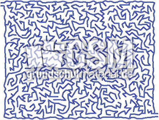 Zitterlinie 4 06.jpg